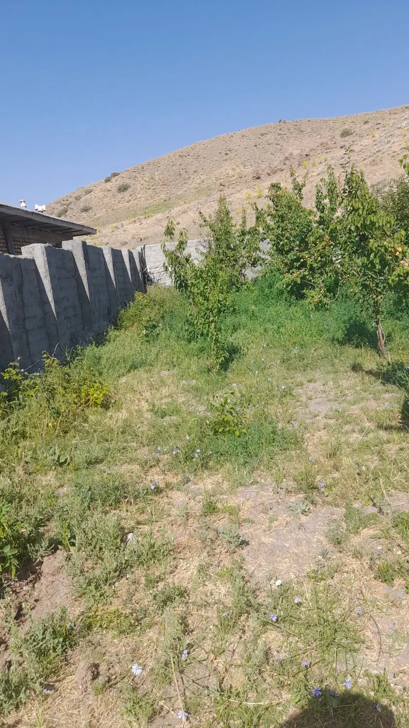 خونه ویلایی