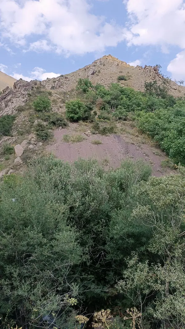 فروش زمین در غفور آباد کوچه دکل ایرانسل آخر کوچه
