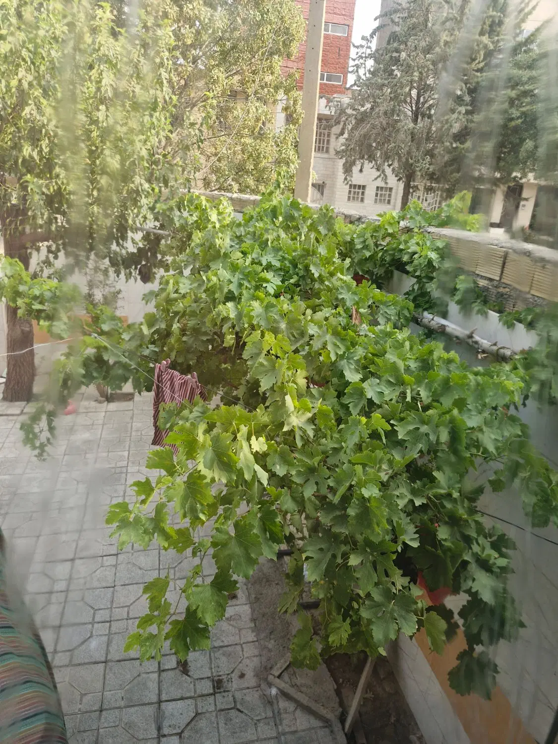 خانه ویلایی شهرک معلم