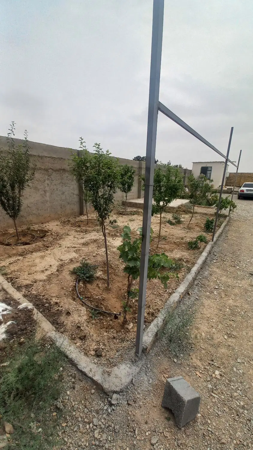 باغچه استخر دار