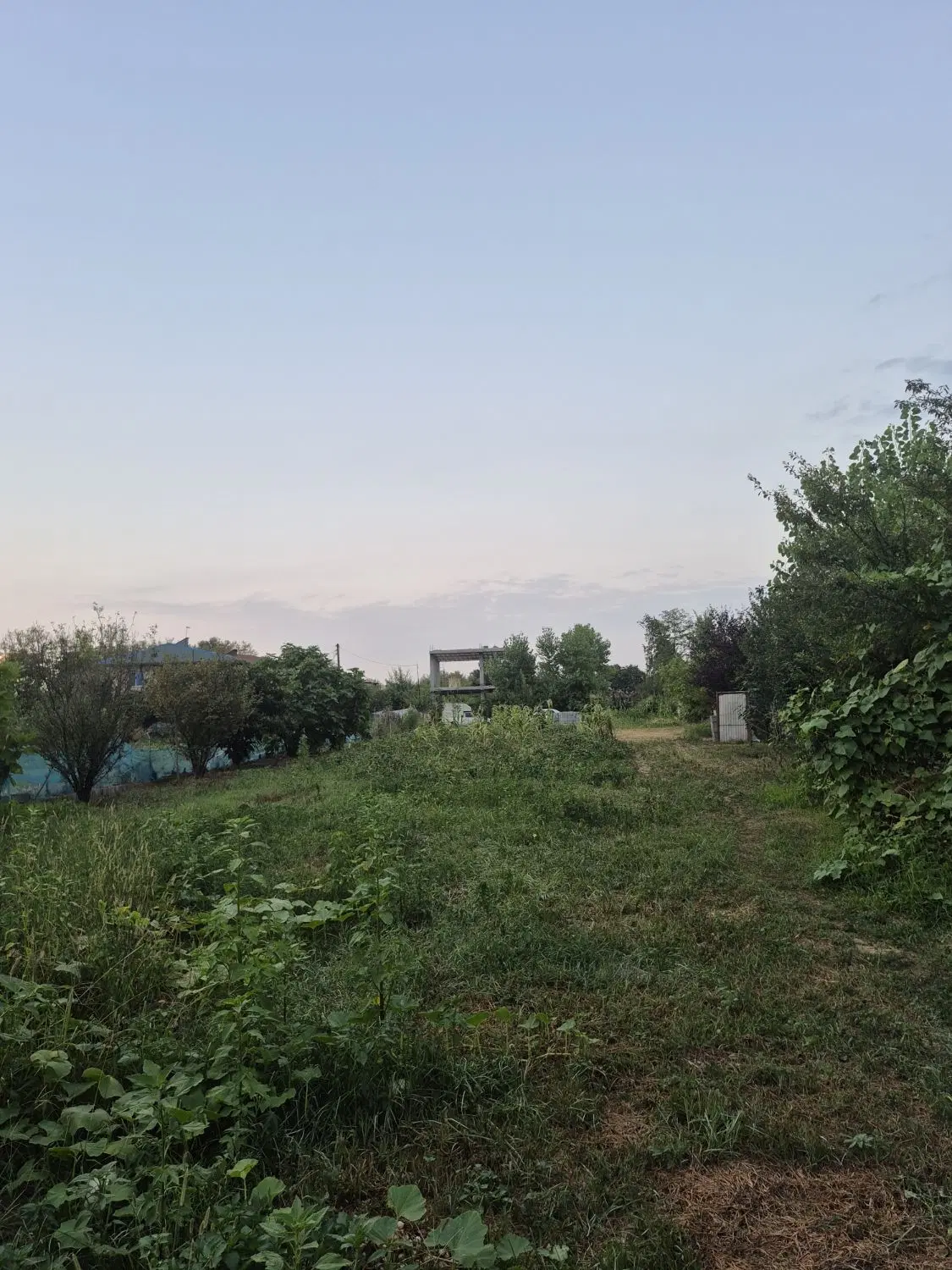زمین مسکونی