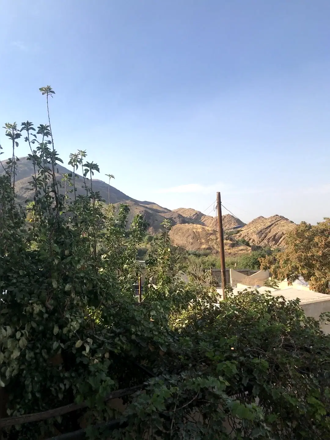 باغ انار  اندیس