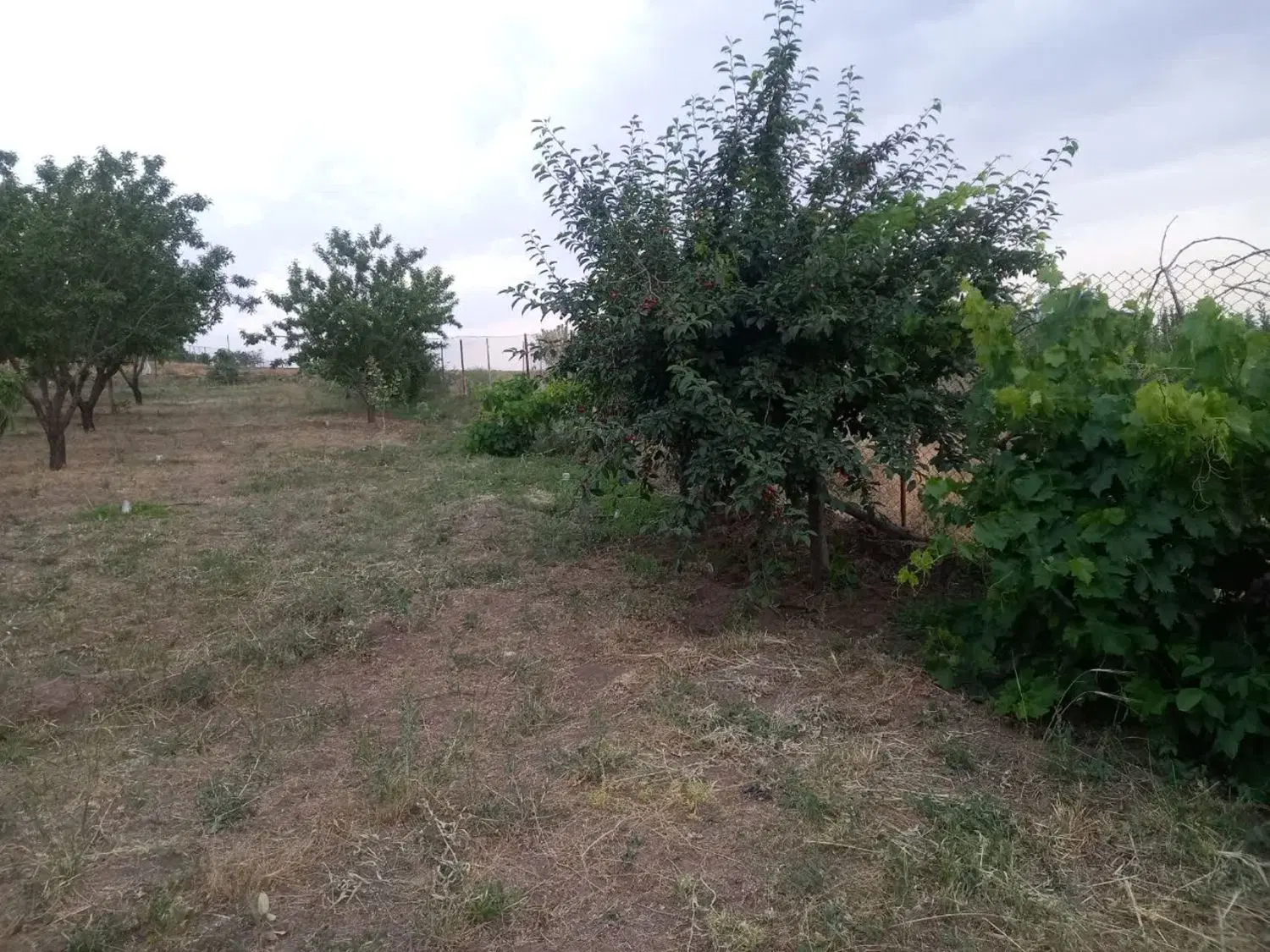 فروش باغچه در عبدل آباد کوهپایه