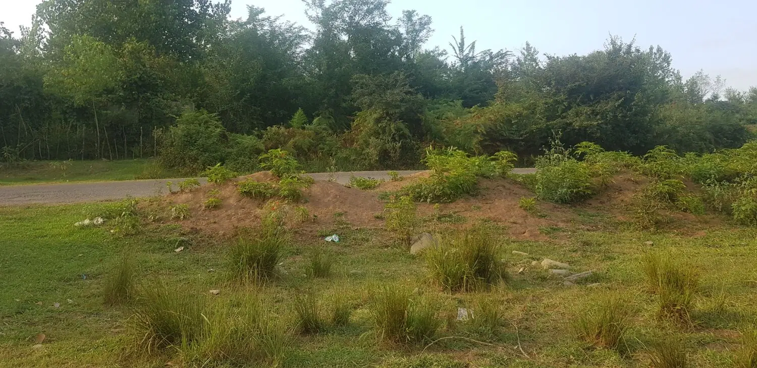 زمین مسکونی