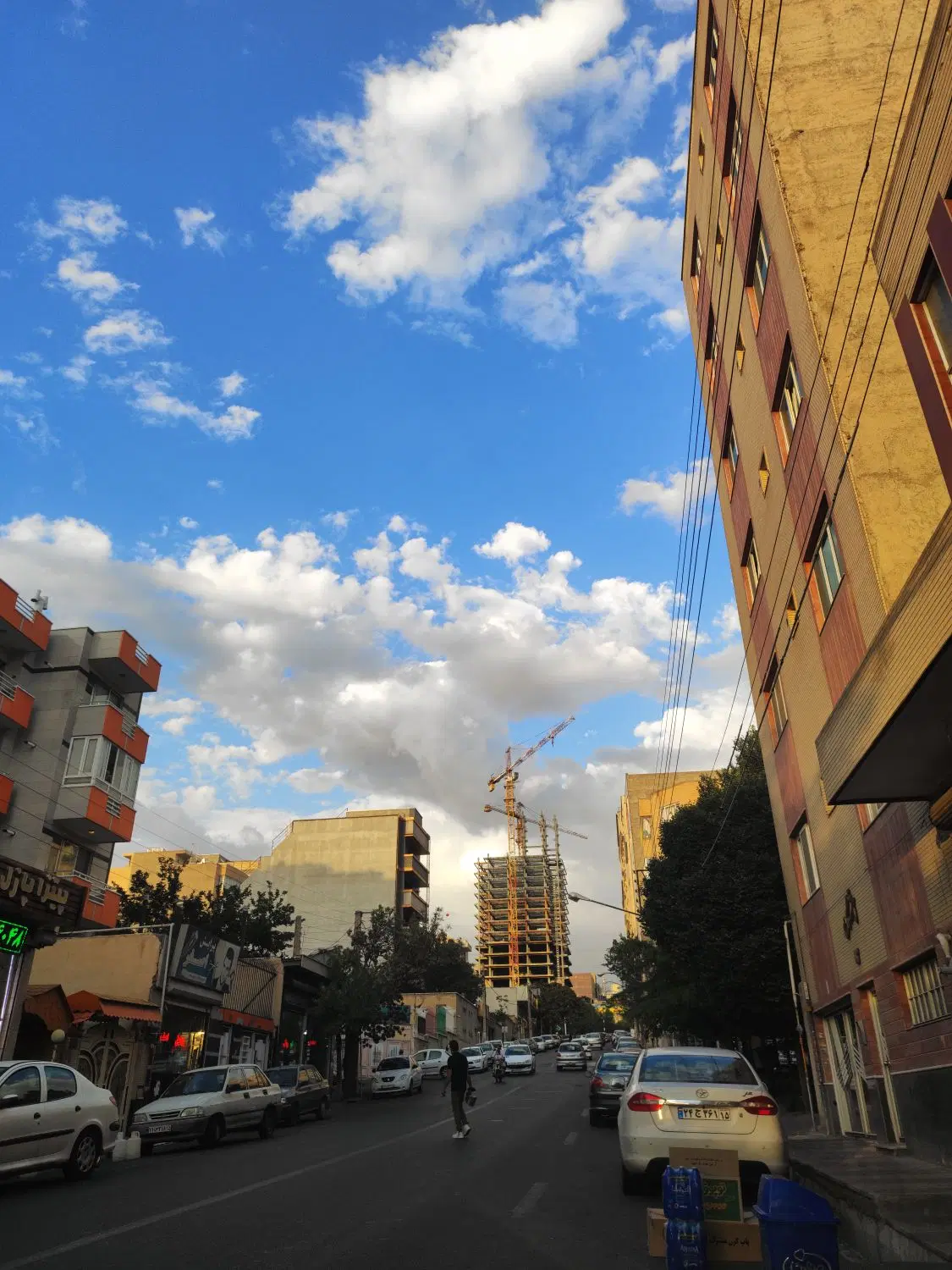 هم خانه