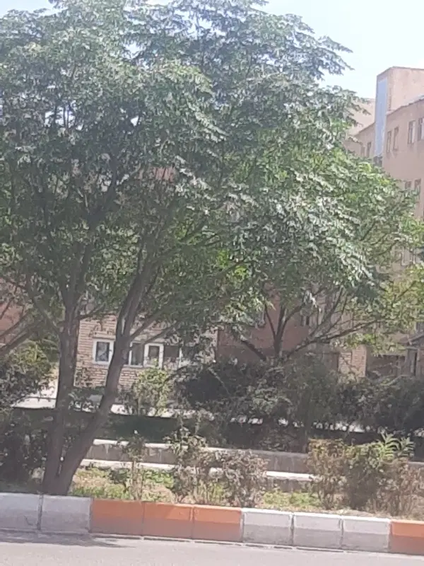 فروش سوله در شهرک صنعتی ۲