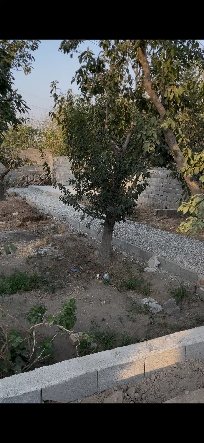 باغ بابا سلمان