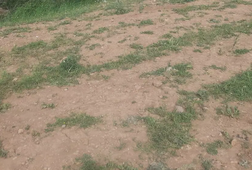 فروش زمین  روستای چشمه سرنجه