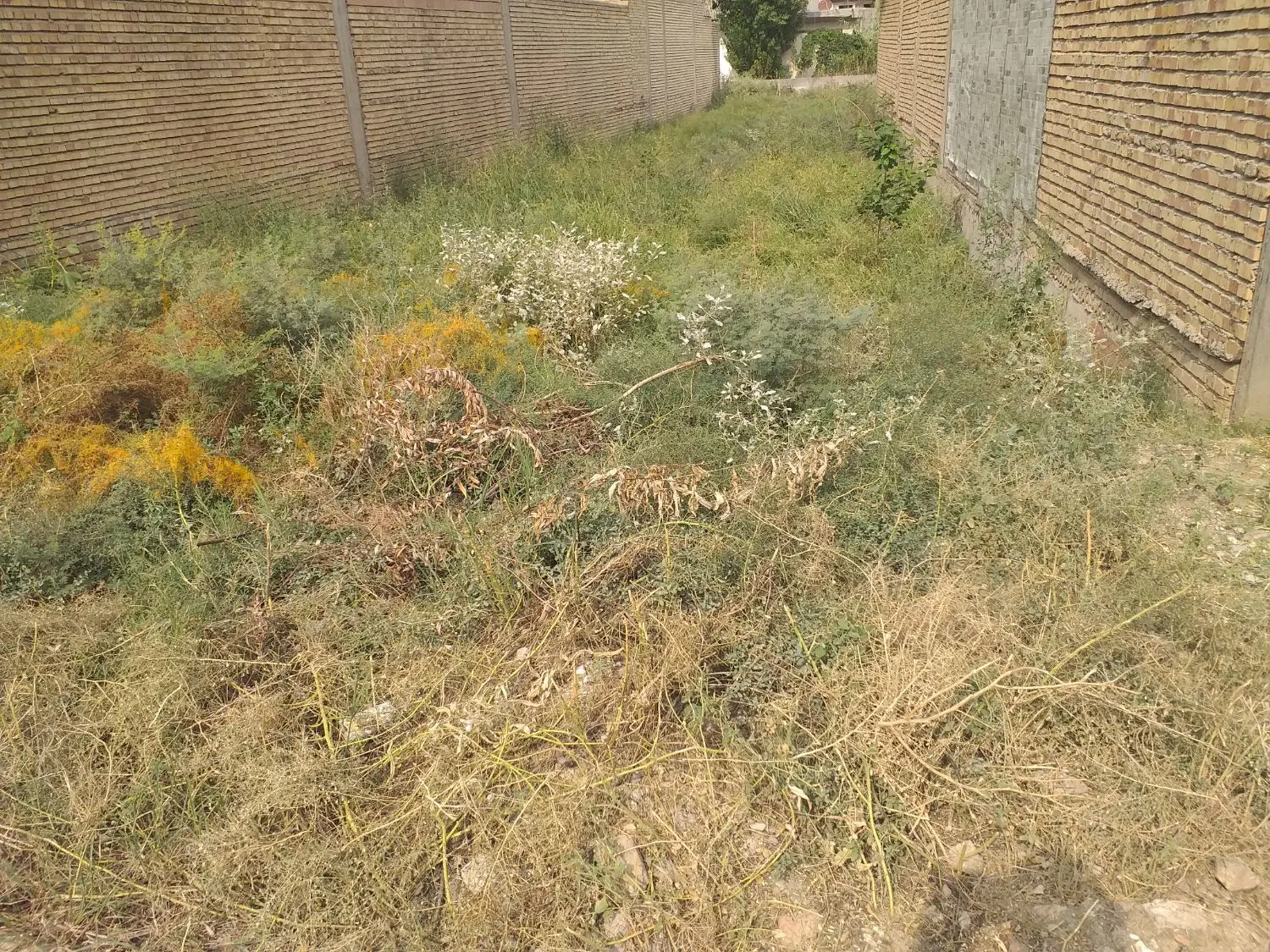 فروش زمین مسکونی شهرک بهارستان
