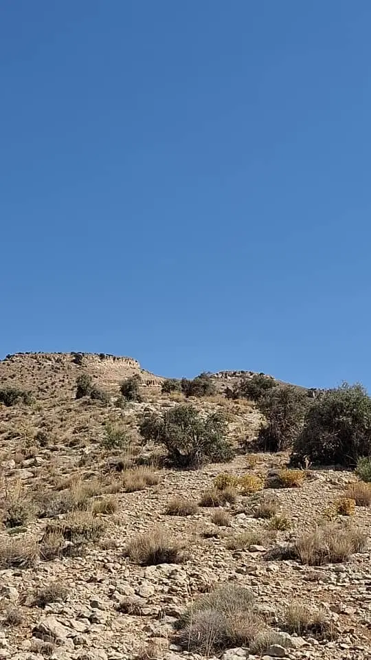 زمین مسکونی