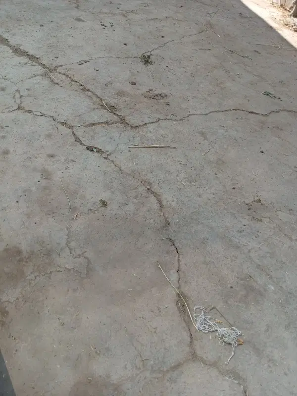 اتاق