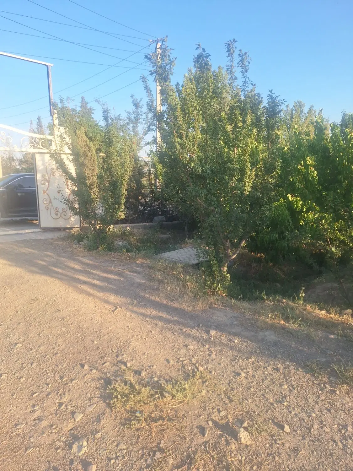 باغ ۱۲۰۰ متری