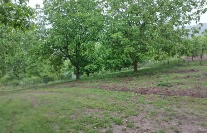 ۶۰۰متر زمین باغی با دسترسی فوق العاده