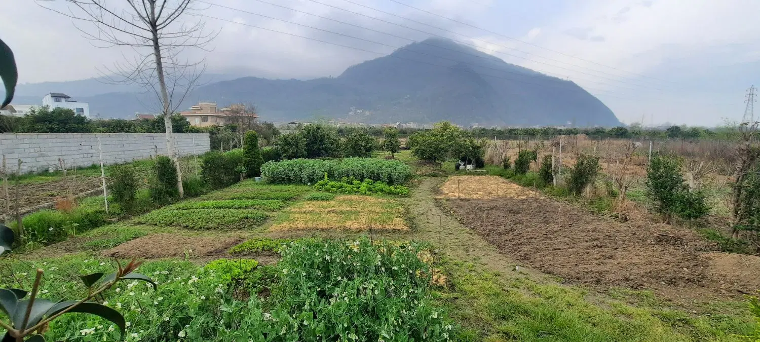 فروش زمین کوهپایه