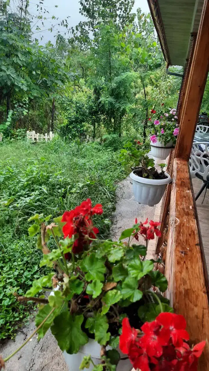 کلبه سنتی نغمه