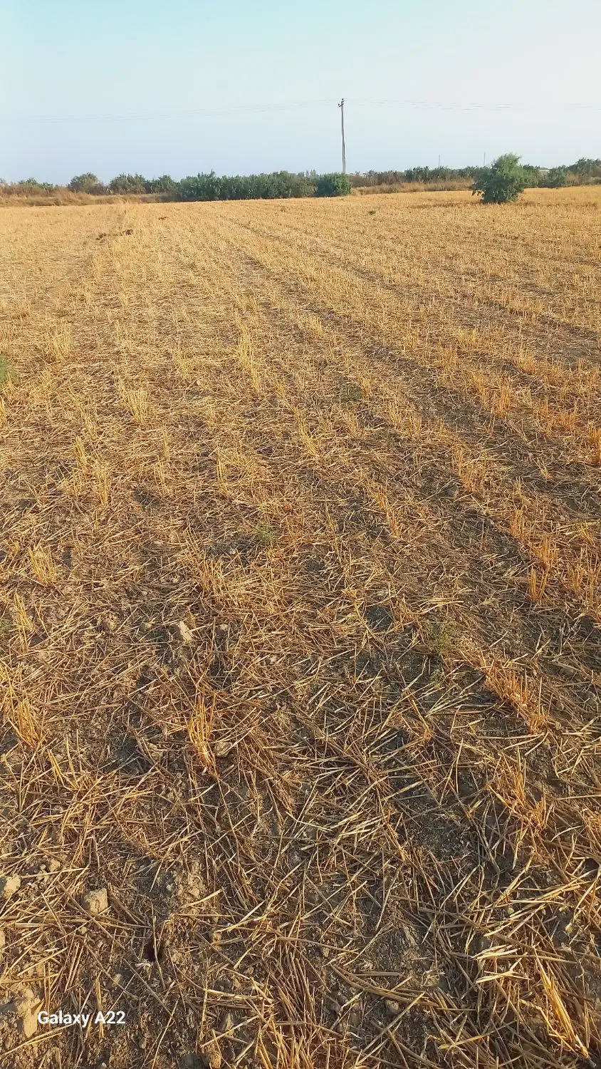 فروش زمین کشاورزی