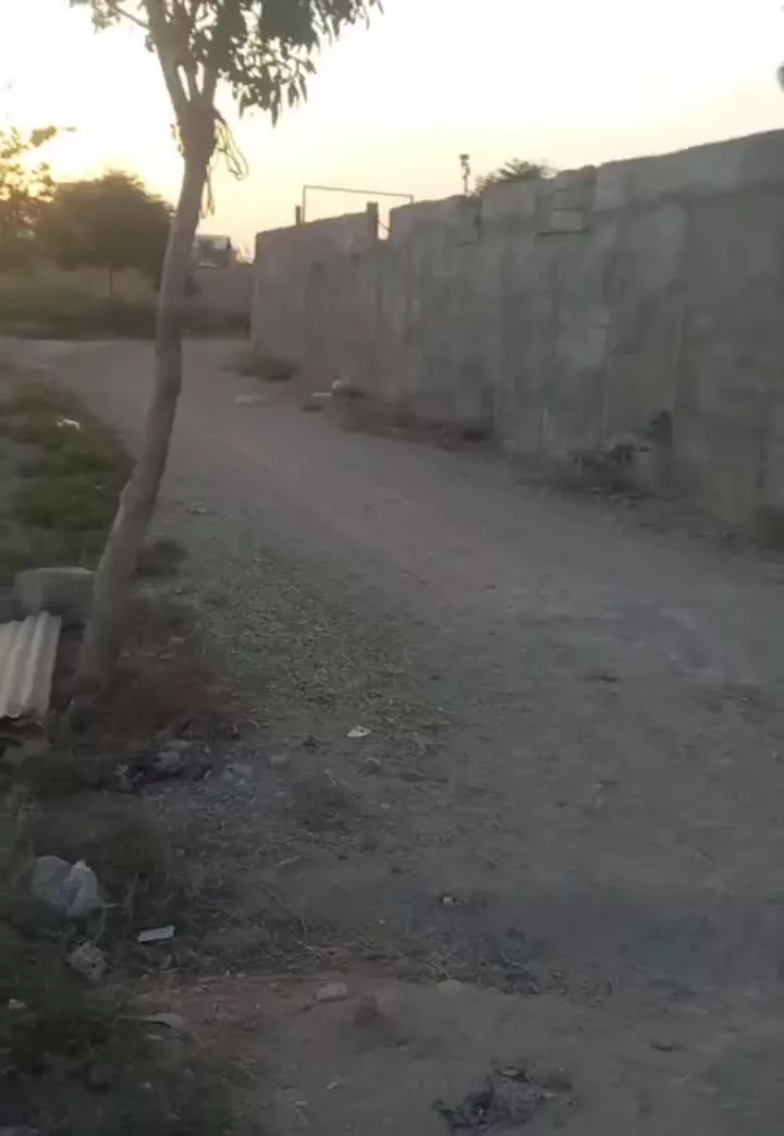اجاره باغ و سوله و انبار