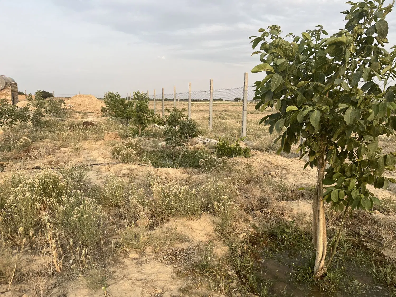 باغچه 1052متری نجم آباد