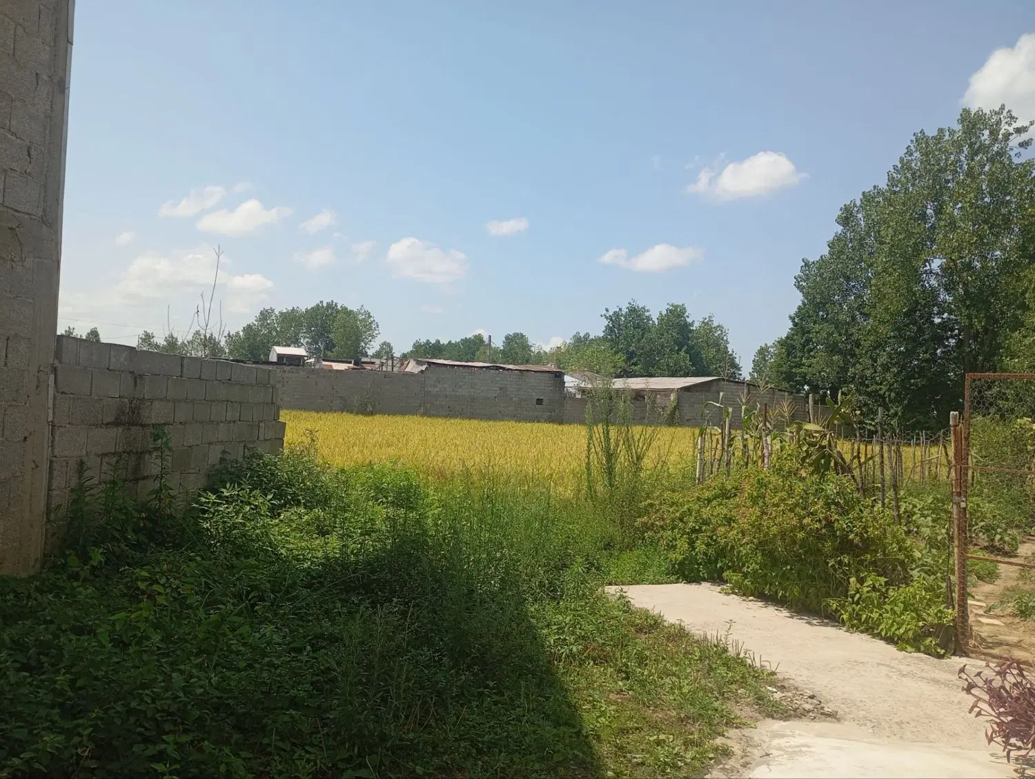 فروش زمین