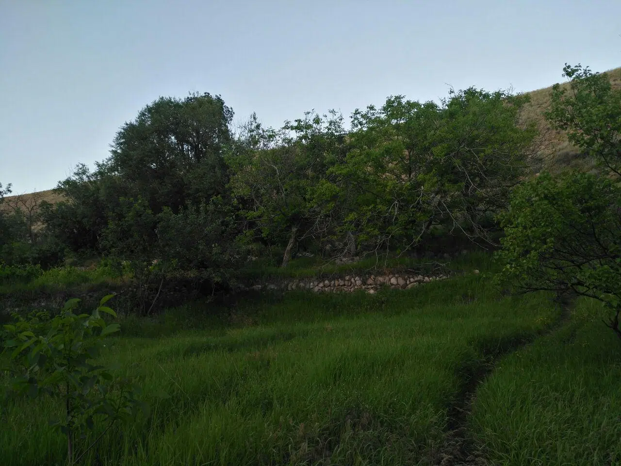 زمین قشلاق ورکانه