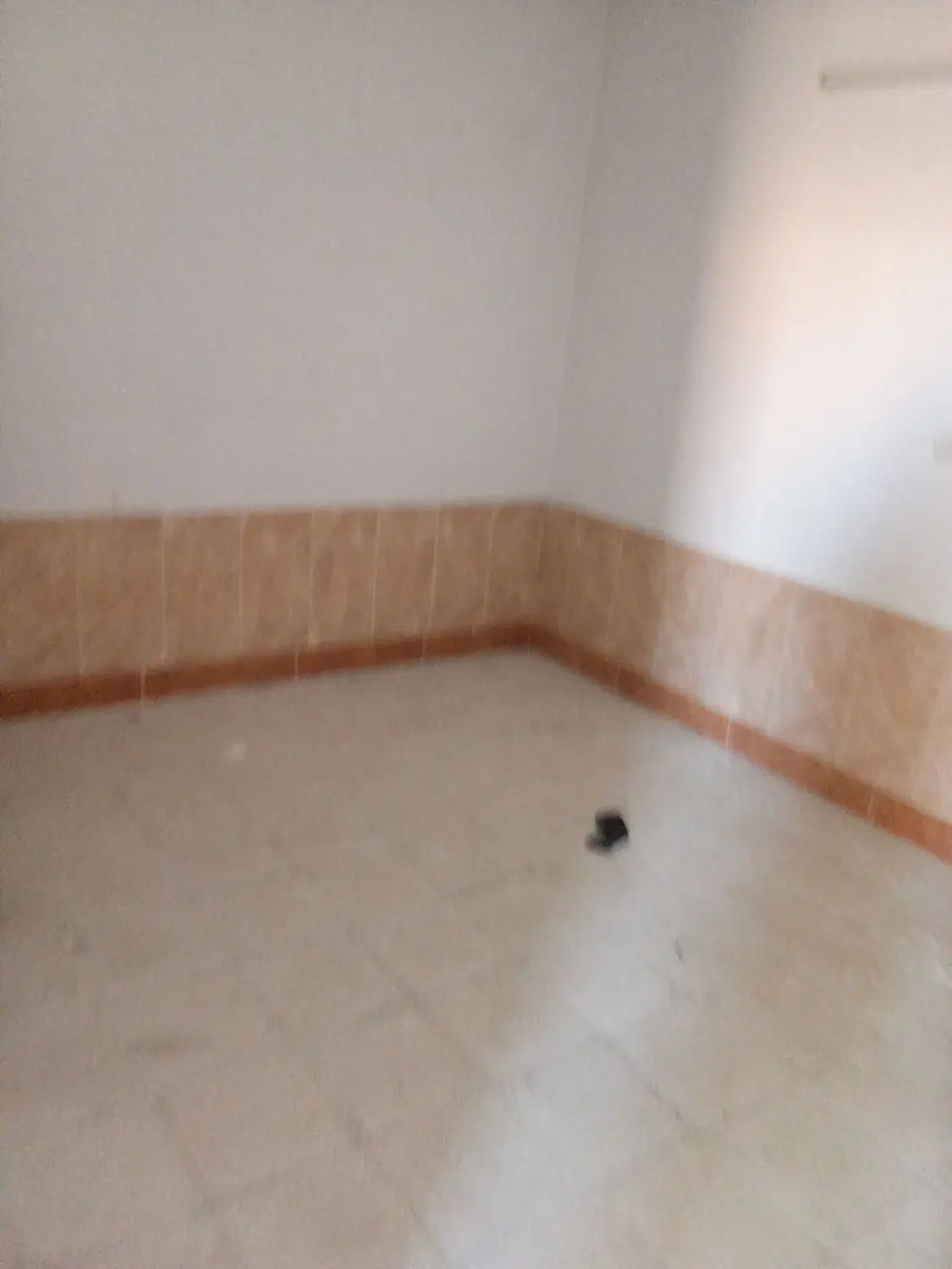 واحد استیجاری