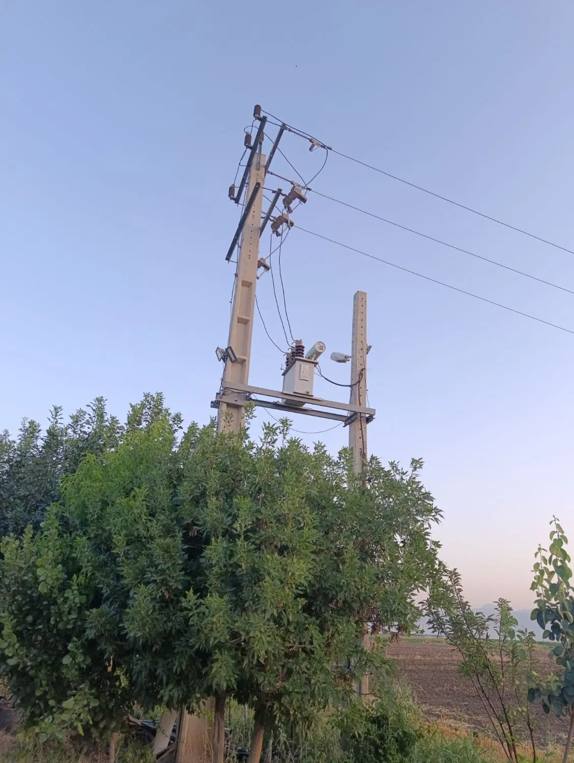 اجاره زمین کشاورزی