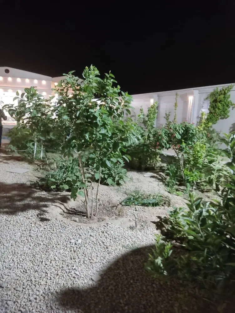 باغشهری