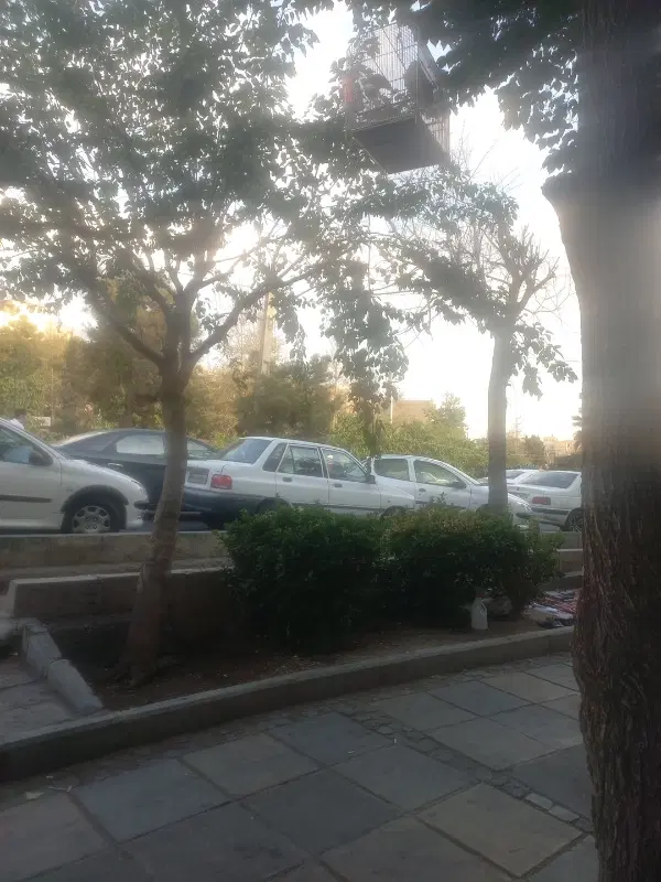آپارتمان