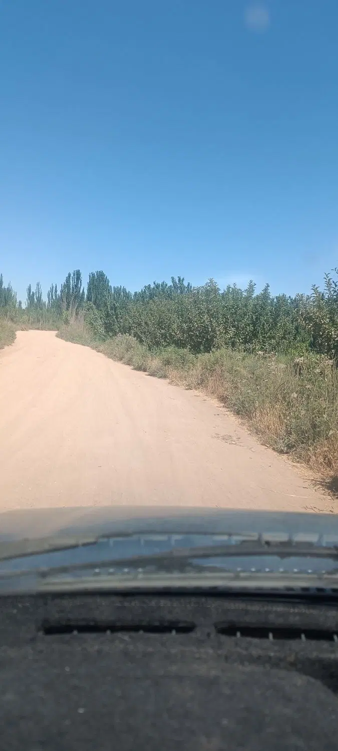 زمین کشاورزی