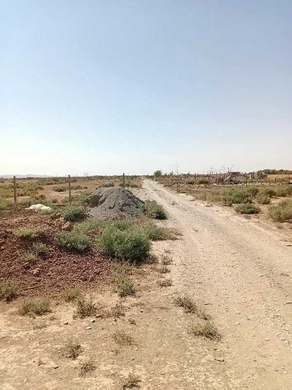 زمین طولا