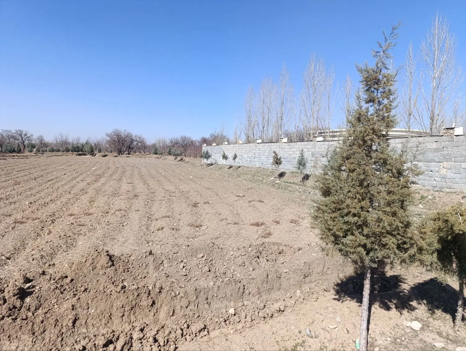 زمین خوش قواره