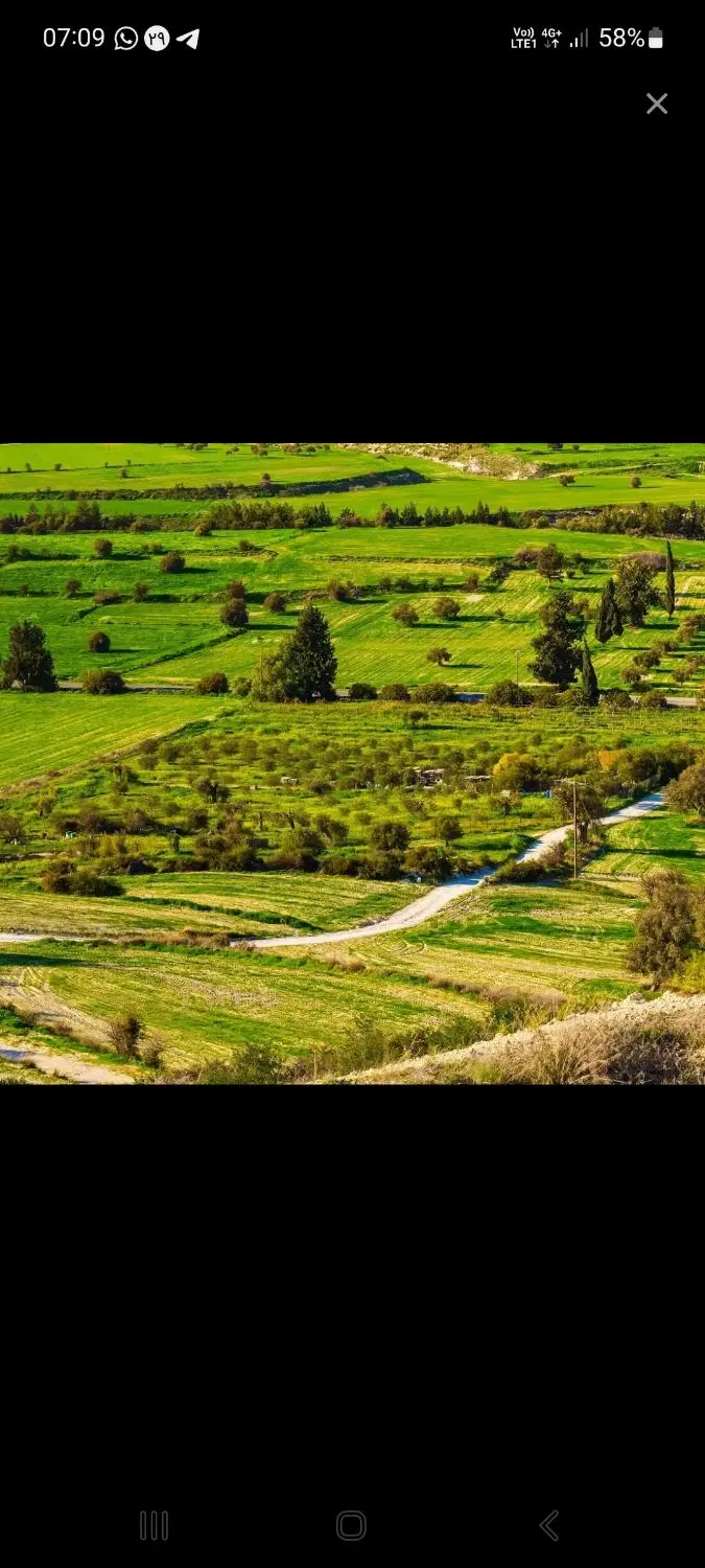 زمین مسکونی