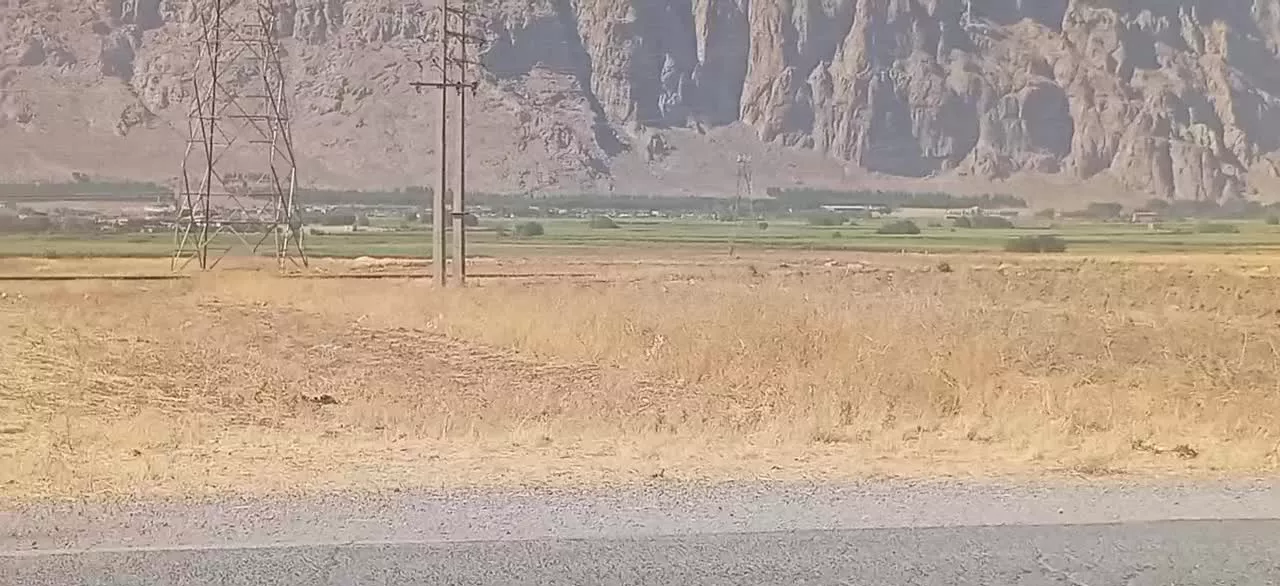 زمین کشاورزی