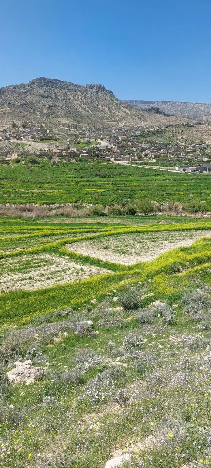 زمین مشکل گشا با پروانه ۷ واحد جدید