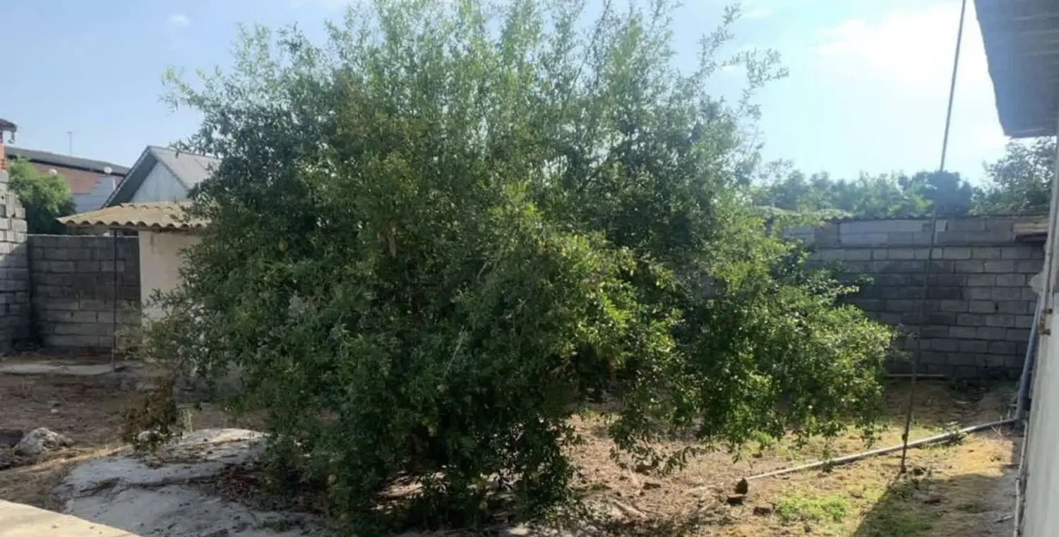 فروش خونه باغ کلنگی اتوبان امل به بابل