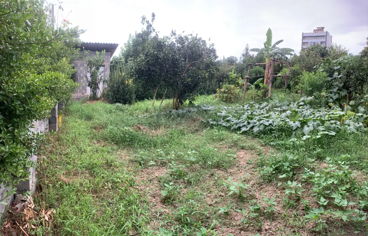 ۲۸۰ متر سنددار کاربری باغات