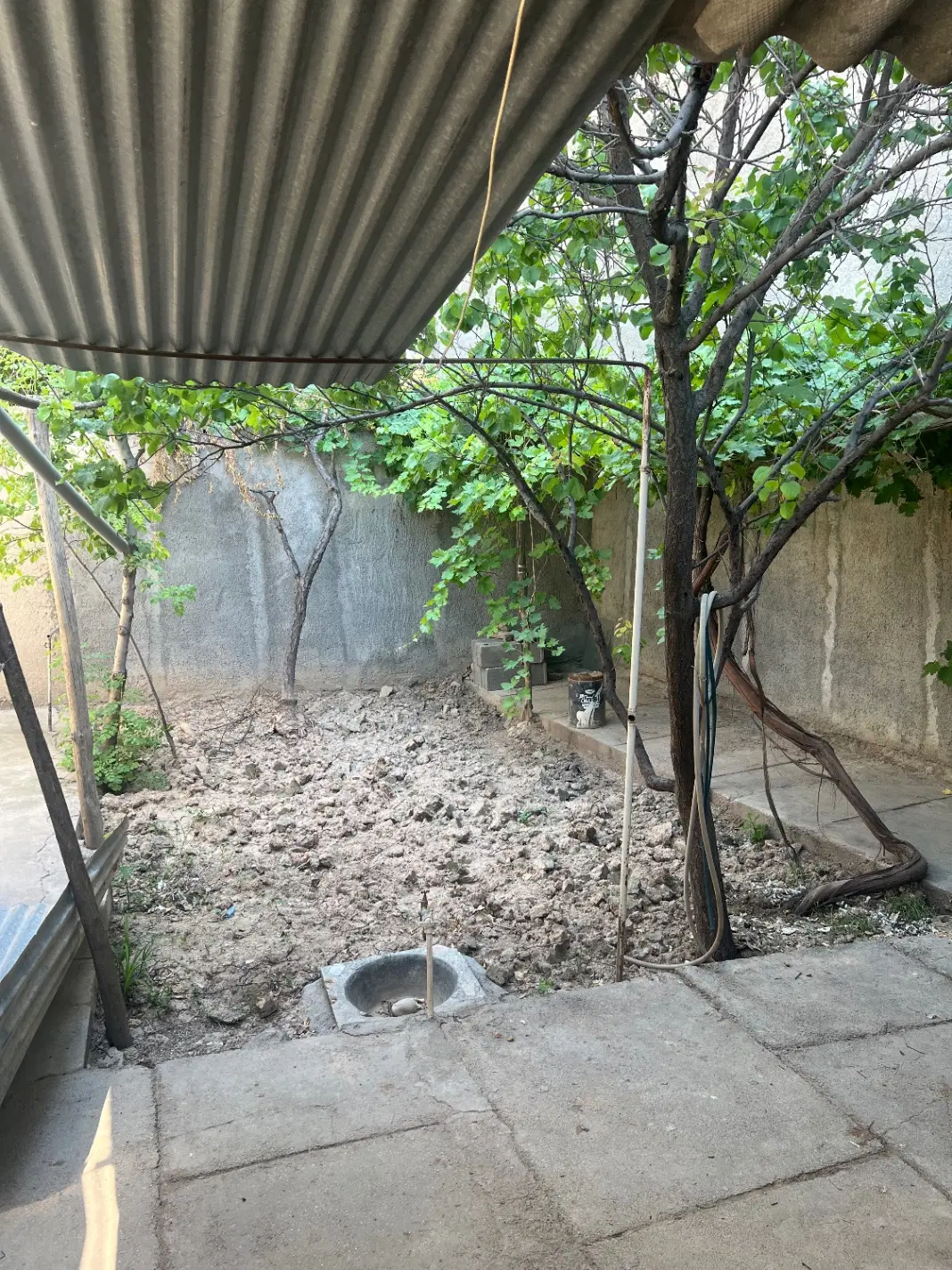اجاره خانه ویلایی کوی معلم