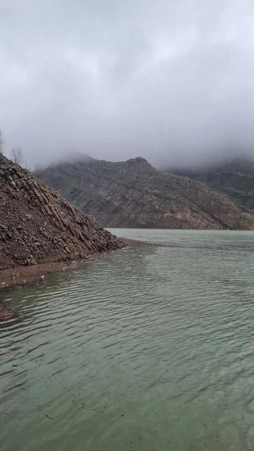 نارسیس۲۰ زمین۴۰۰متر (سوران)