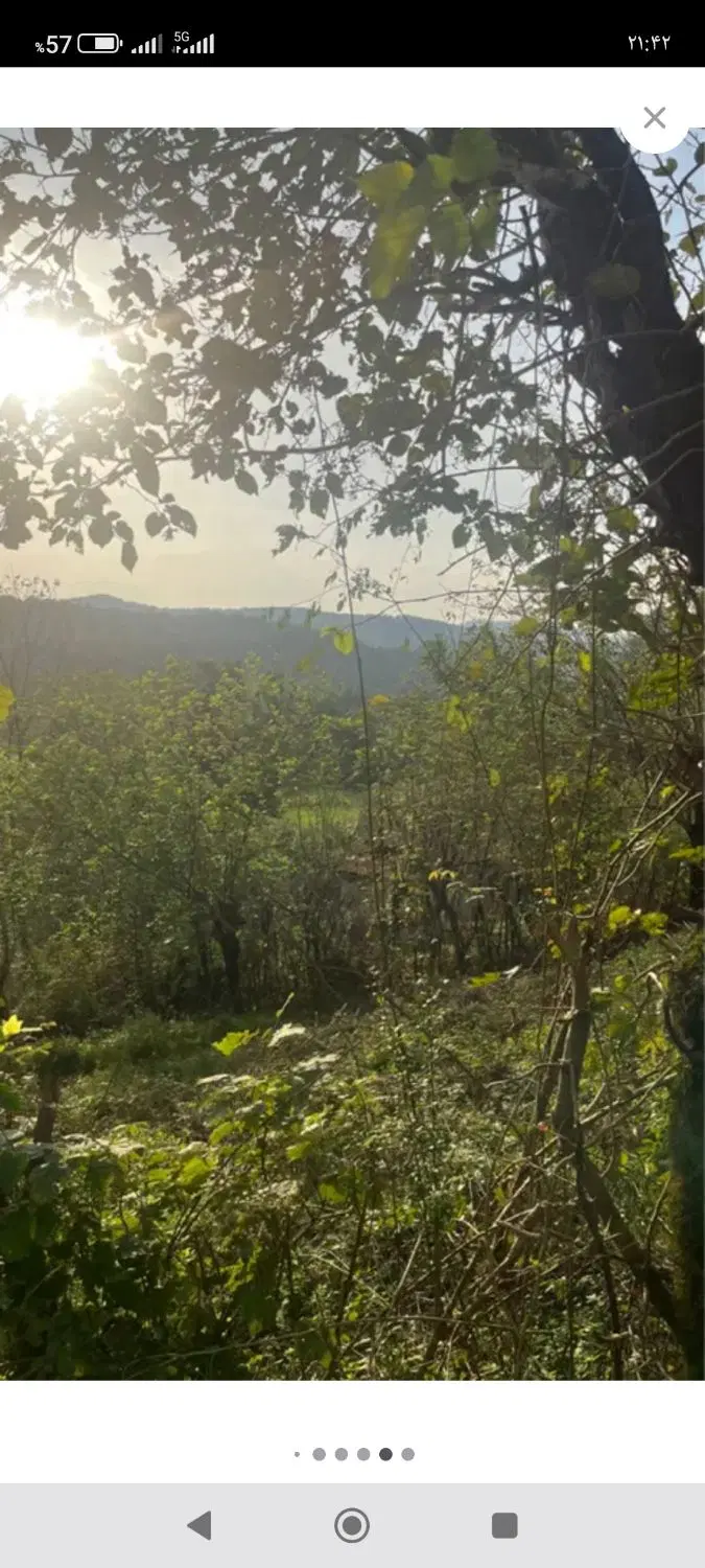 زمین باغی داخل بافت