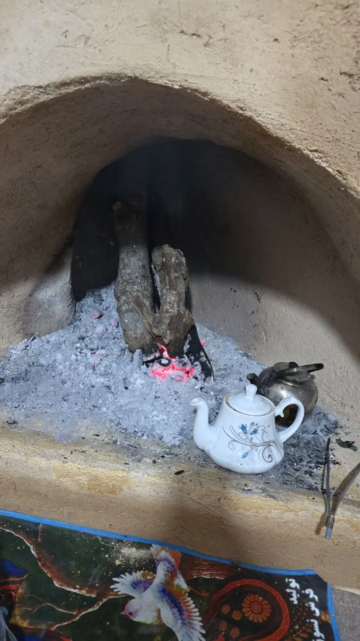 فروش یک قطعه باغ