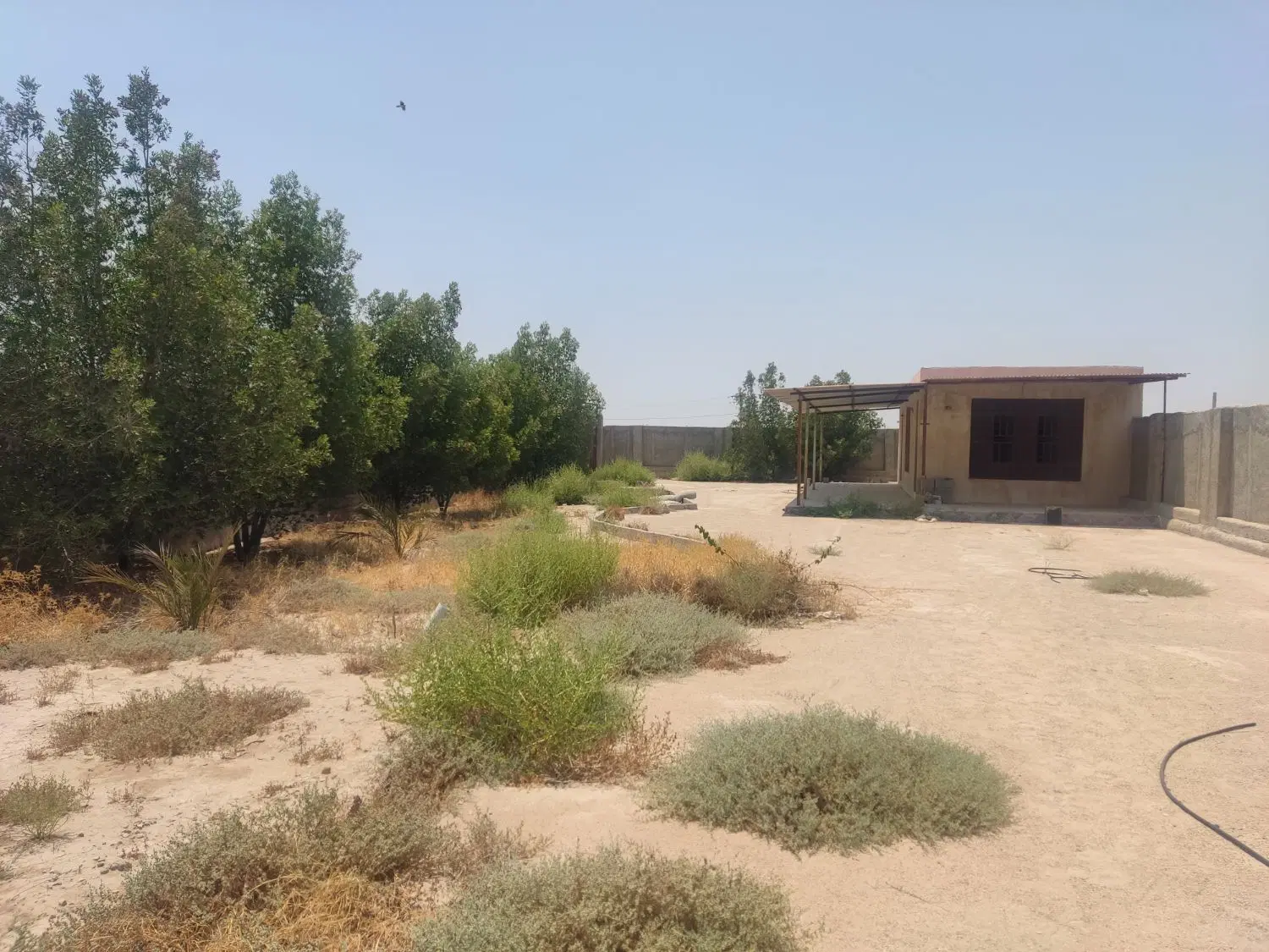 فروش خانه باغ در گورک‌کله‌بندی