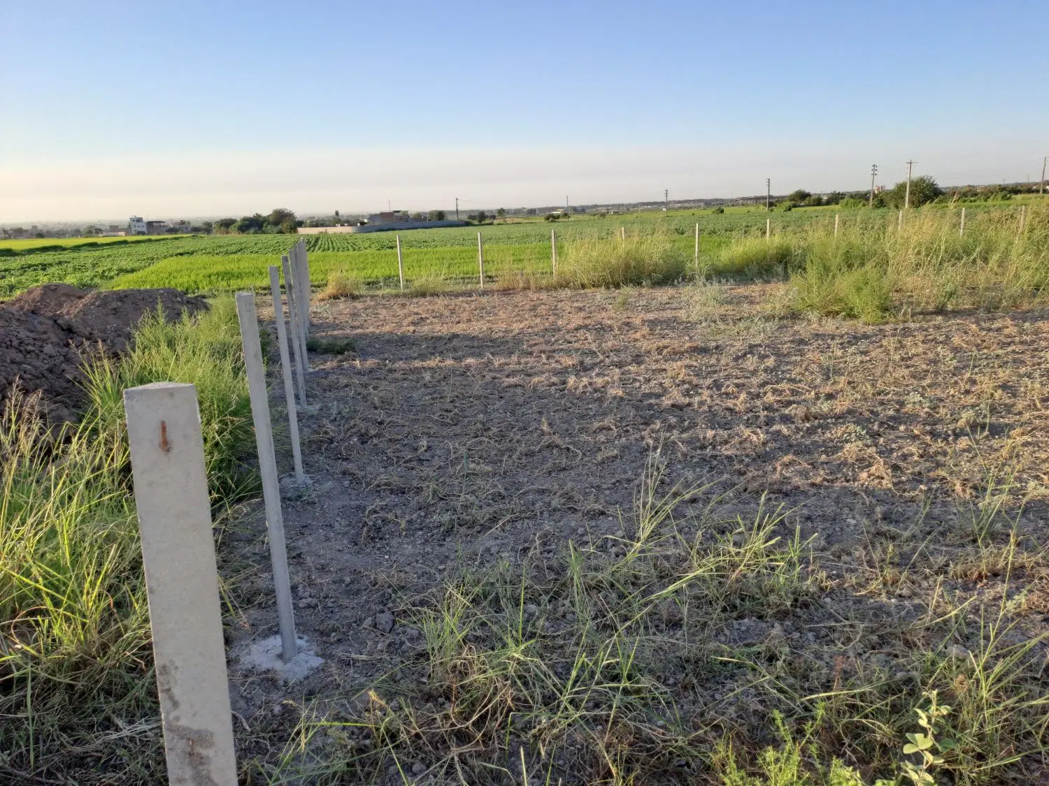 ۲۵۰منر زمین شموشک کنار خیابان