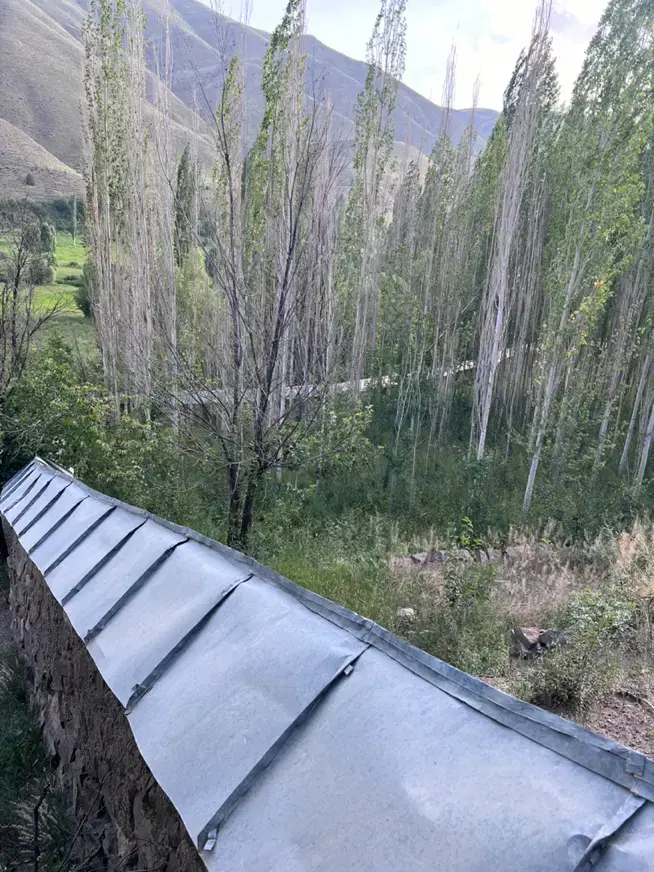 زمین کشاورزی