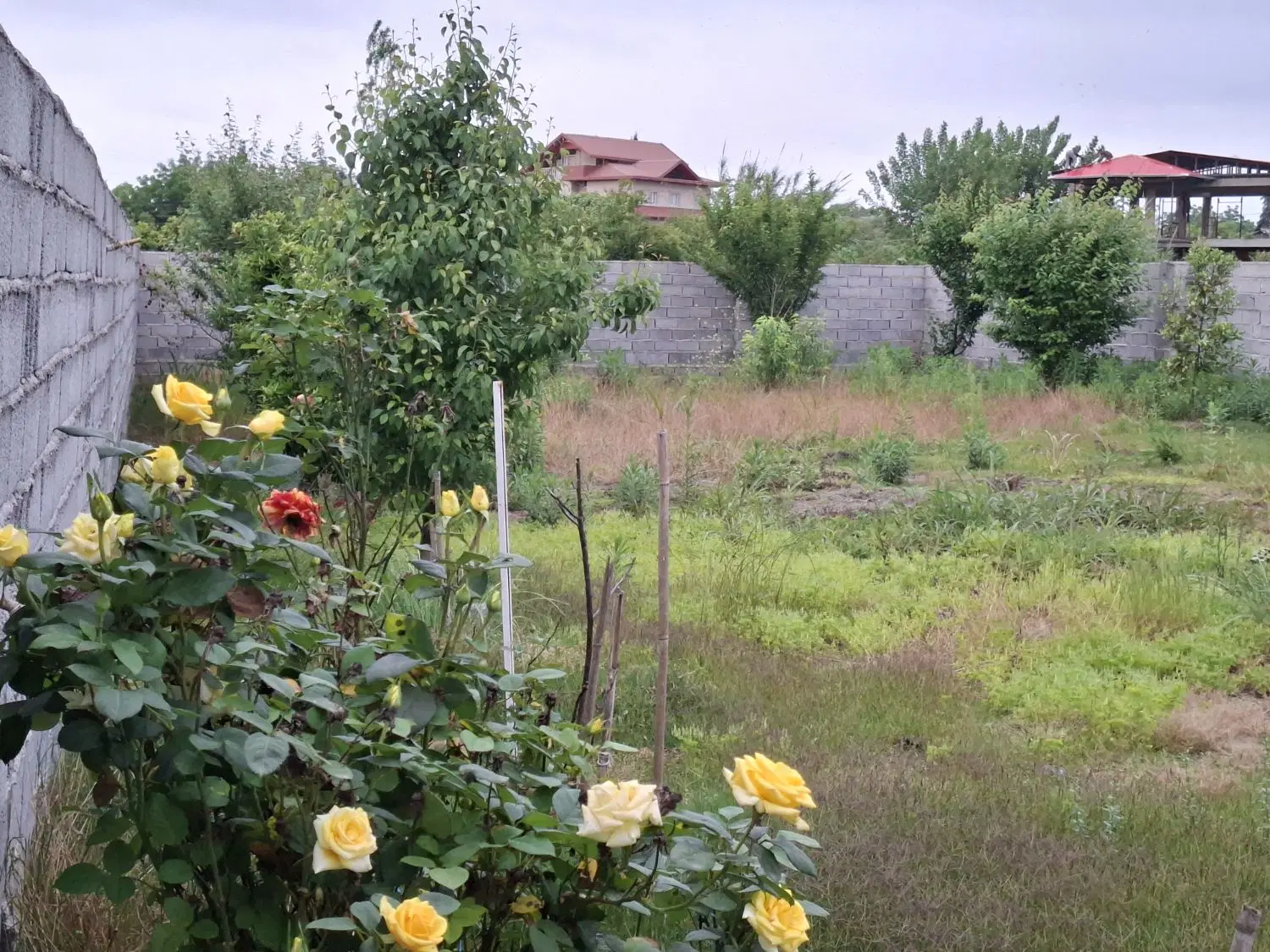 فروش زمین باغی