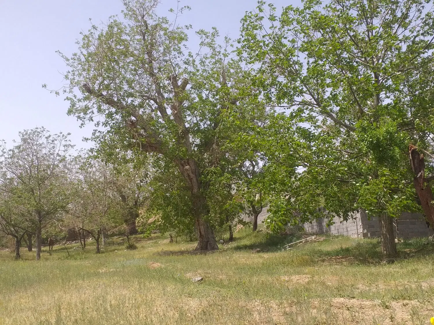 زمین چهاردیواری
