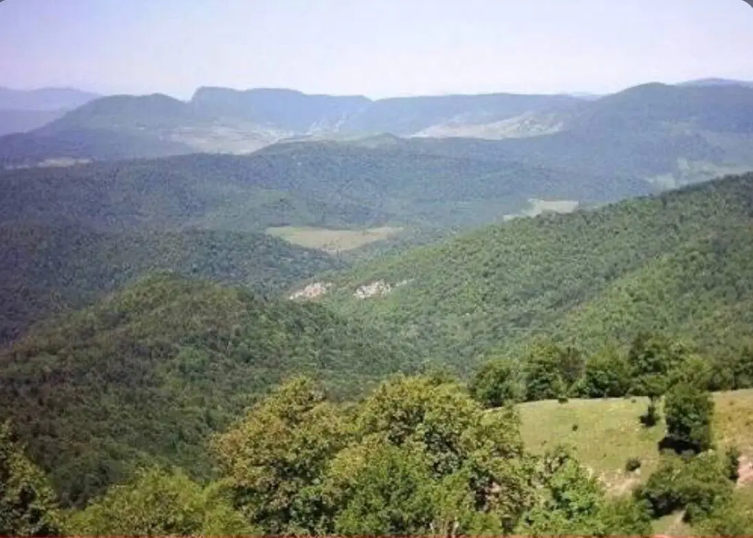 زمین کشاورزی