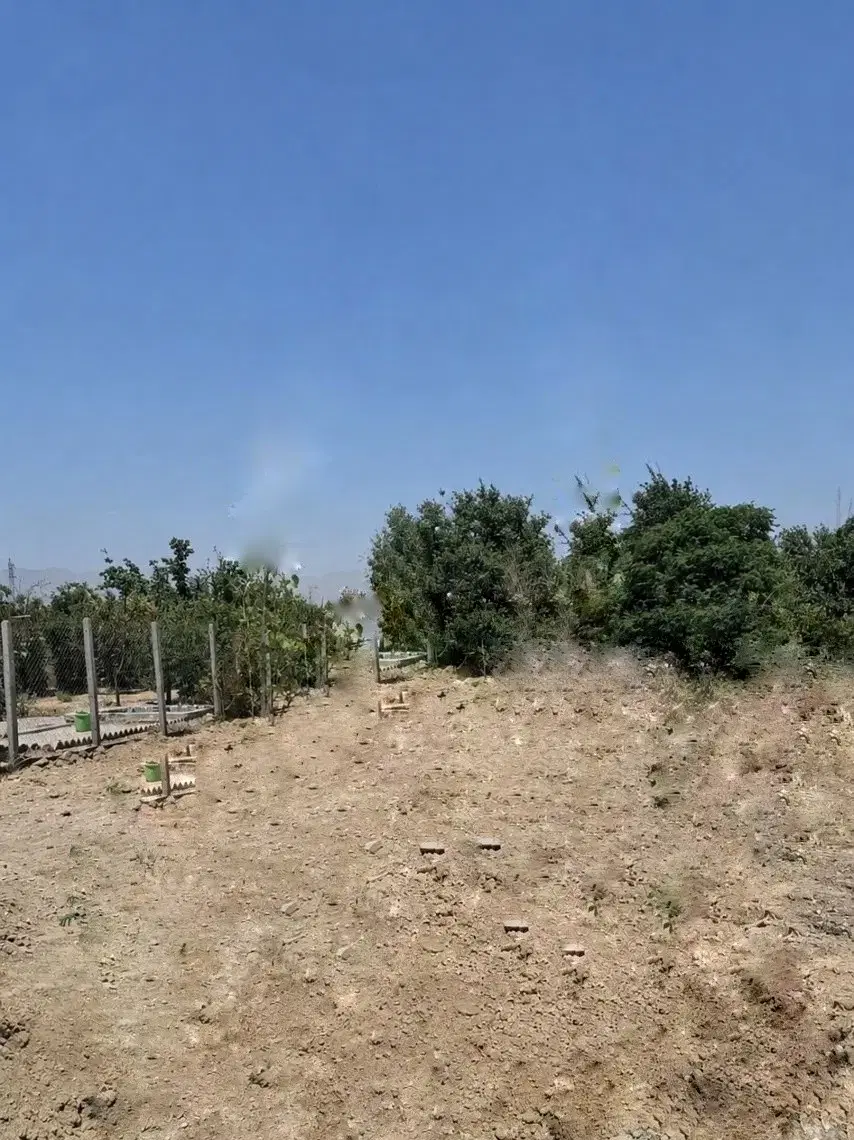۳۰۰ متر زمین کشاورزی  در تهران