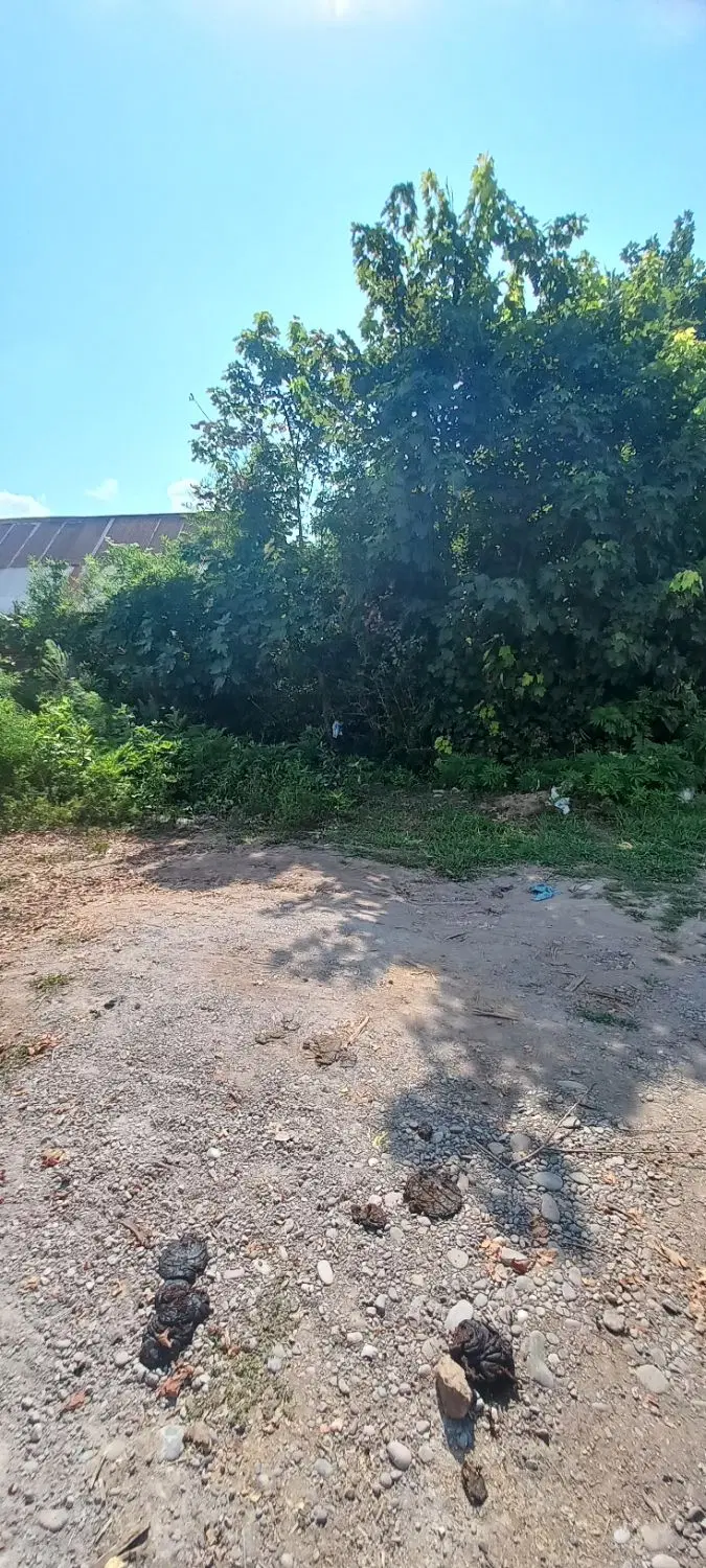 فروش زمین مسکونی ۳۶۰متر ج سنگر سده روستای کدوسرا
