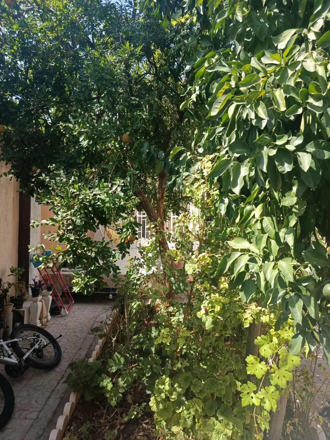 ویلایی سجادیه