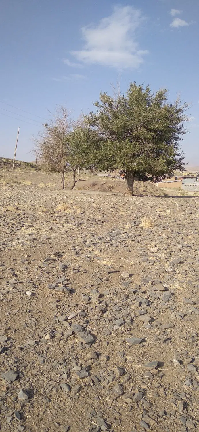 زمین کشاورزی و مسکونی